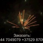 Встреча (FP-B335) 7038 салют