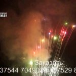 Встреча (FP-B335) 7028 салют