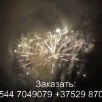 Встреча (FP-B335) 7031 салют