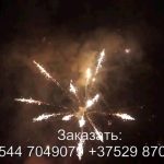 Встреча (FP-B335) 7034 салют