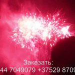 Фейерверк BOX (TKB959) 8631 салют