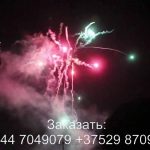 Фейерверк BOX (TKB959) 8624 салют
