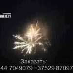 Батарея салютов (FP-B403) 8639 салют