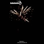 Шторм (STORM JL1225) 8735 салют