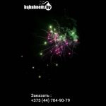 Победитель (WINNER JL1225) 8717 салют