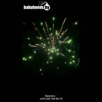 Шторм (STORM JL1225) 8736 салют