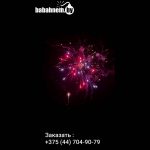 Победитель (WINNER JL1225) 8718 салют
