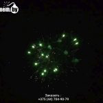 Вечеринка от снежинки(FPM13) 9038 салют