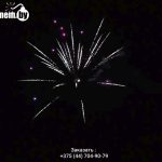 Вечеринка от снежинки(FPM13) 9040 салют
