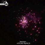 Вечеринка от снежинки(FPM13) 9041 салют