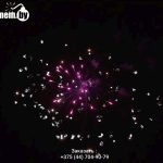 Вечеринка от снежинки(FPM13) 9043 салют