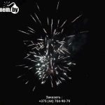 Вечеринка от снежинки(FPM13) 9044 салют