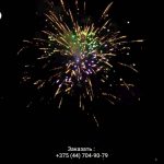 Аладдин(FFW2049-71) 8813 салют