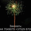 Сатурн (FFW2030-49) 9163 салют