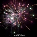 Батарея салютов (FP-B352) 9258 салют