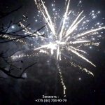Батарея салютов (FP-B352) 9261 салют