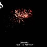 JAPAN MISASA (JB33) 9689 салют