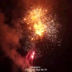 Новогодняя ночь (FP-B356) 10164 салют