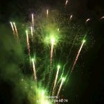 Новогодняя ночь (FP-B356) 10162 салют