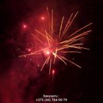 Новогодняя ночь (FP-B356) 10158 салют