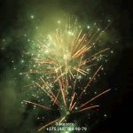 Новогодняя ночь (FP-B356) 10157 салют