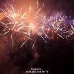 Новогодняя ночь (FP-B356) 10156 салют