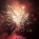 Новогодняя ночь (FP-B356) 10155 салют