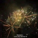 Новогодние огни (FP-B372) 10142 салют
