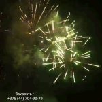 Новогодние огни (FP-B372) 10141 салют