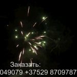 Каскад (FP-B320) 10308 салют