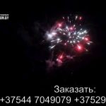 Радуга (FPM08) 10295 салют