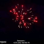 Сюрприз(МБ-0258) 11646 салют