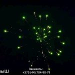 Крепыш(МБ-0201) 11637 салют