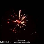 Белорусочка(СБ-0093) 11653 салют