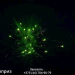 Сюрприз(МБ-0258) 11645 салют