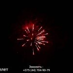 Гамлет(МБ-0102) 11628 салют