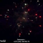 Крепыш(МБ-0201) 11634 салют