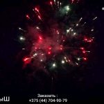 Крепыш(МБ-0201) 11633 салют