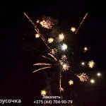 Белорусочка(СБ-0093) 11651 салют