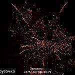 Белорусочка(СБ-0093) 11650 салют