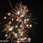 Белорусочка(СБ-0093) 11649 салют